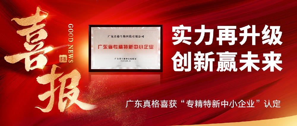 實力再升級，創(chuàng)新贏未來！ ——廣東真格喜獲“專精特新中小企業(yè)”認定